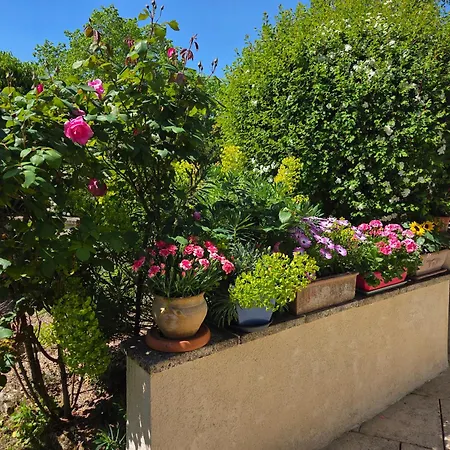 Clair Logis * Giverny