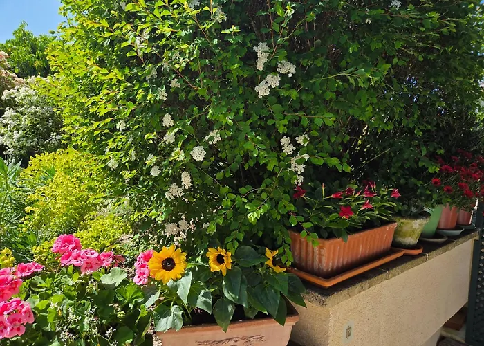 Clair Logis Vakantiehuis *